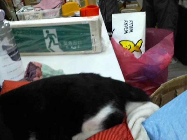 圖片載入錯誤