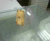 圖片載入錯誤
