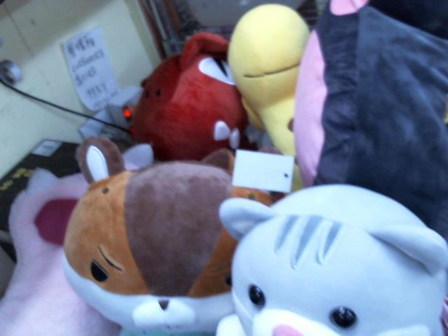 圖片載入錯誤