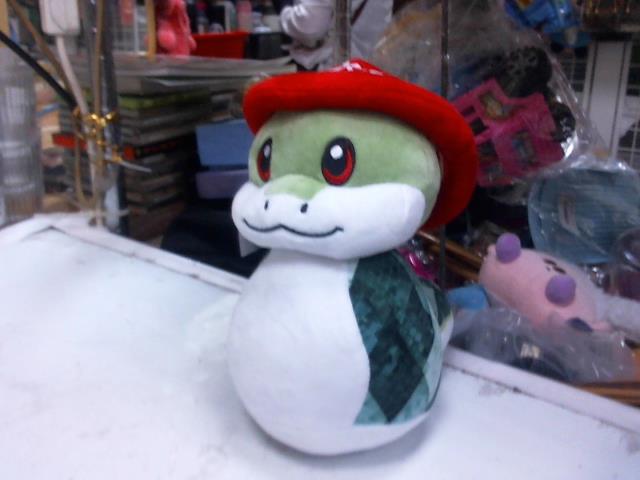 圖片載入錯誤