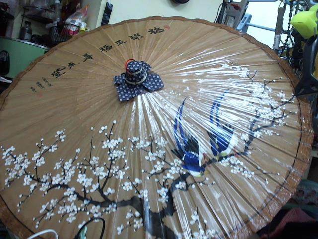 圖片載入錯誤