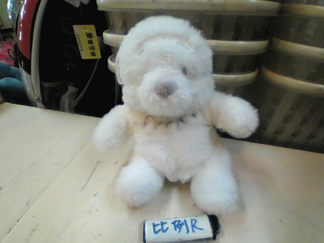 圖片載入錯誤