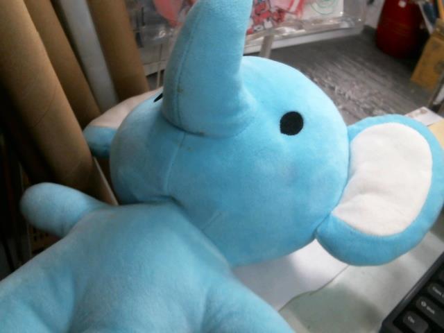 圖片載入錯誤