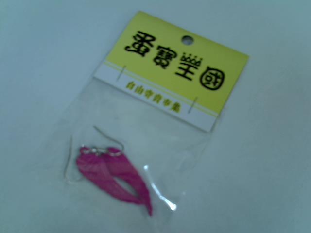 圖片載入錯誤