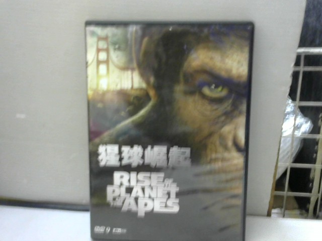圖片載入錯誤