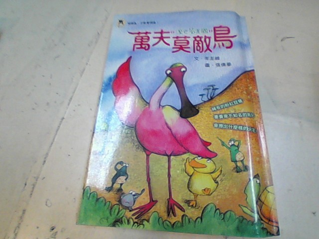 圖片載入錯誤
