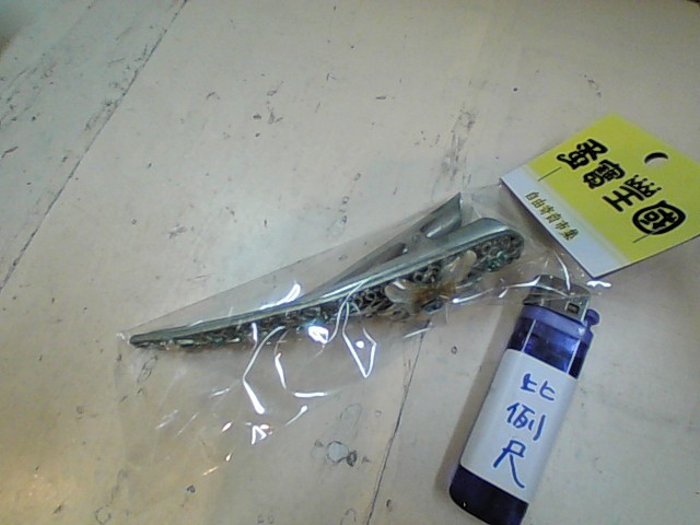 圖片載入錯誤