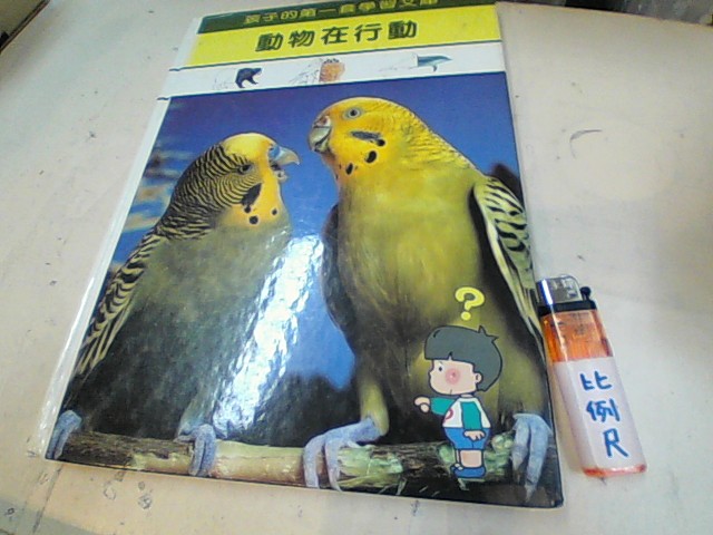 圖片載入錯誤