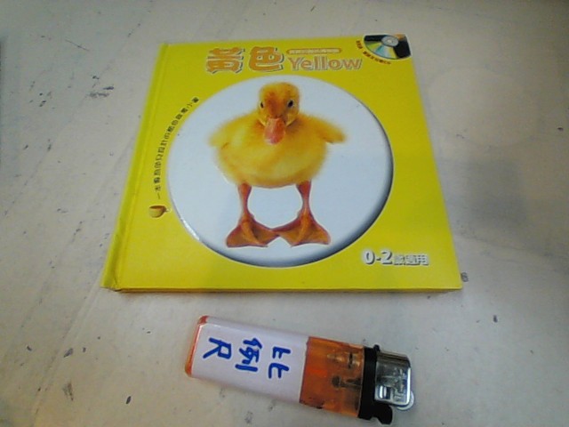 圖片載入錯誤