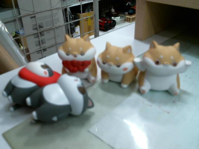 圖片載入錯誤