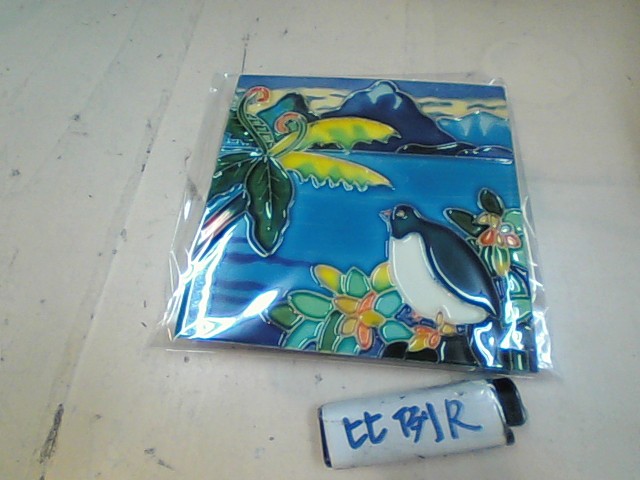 圖片載入錯誤