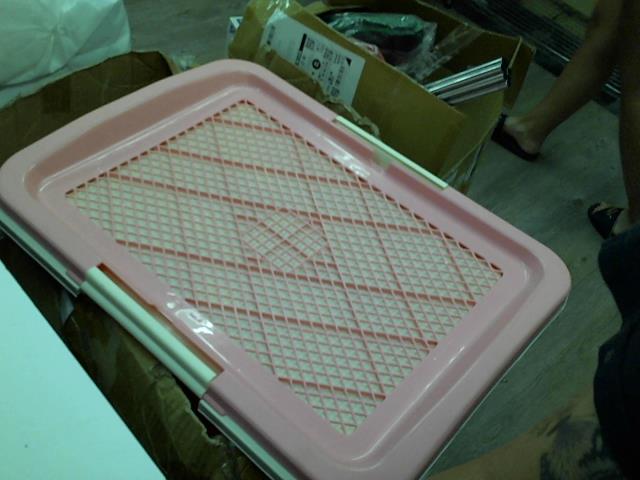 圖片載入錯誤