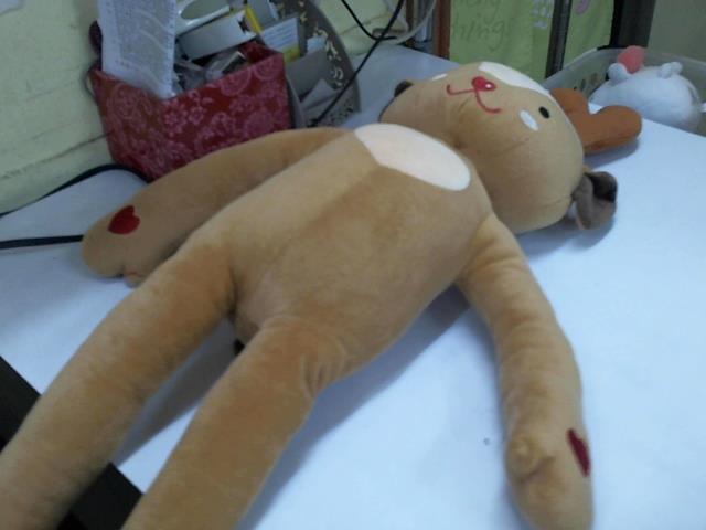 圖片載入錯誤