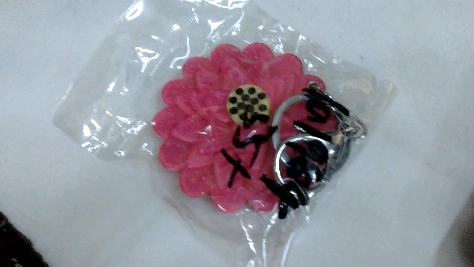 圖片載入錯誤