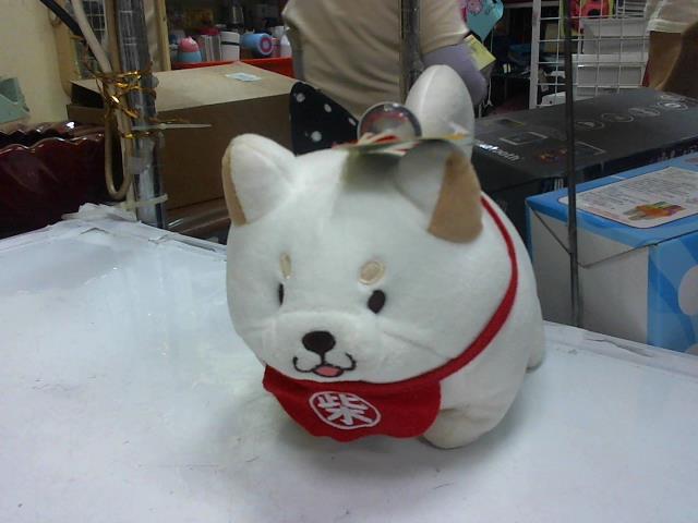 圖片載入錯誤
