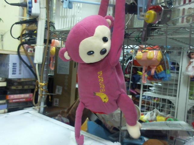 圖片載入錯誤