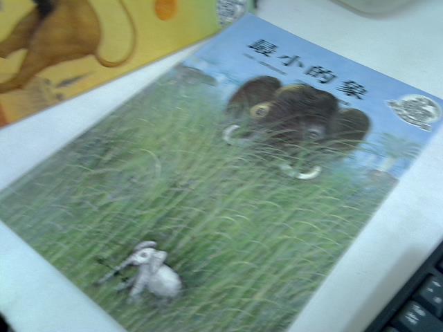 圖片載入錯誤