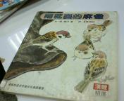 圖片載入錯誤