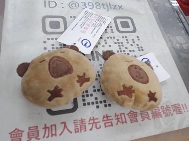 圖片載入錯誤