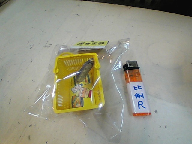 圖片載入錯誤
