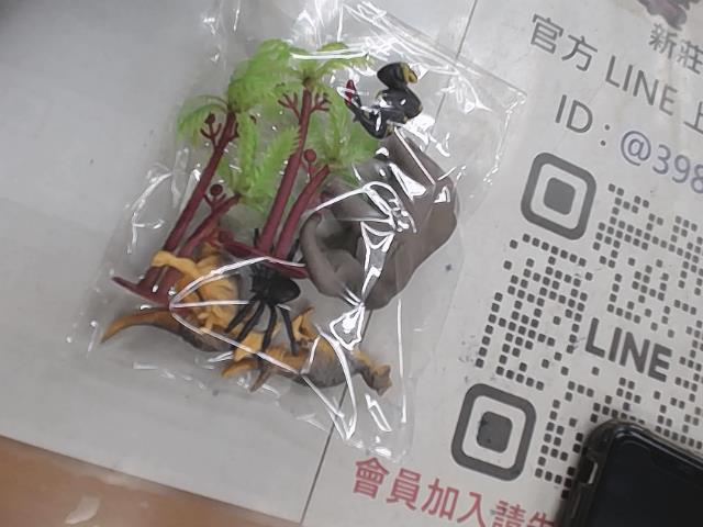 圖片載入錯誤
