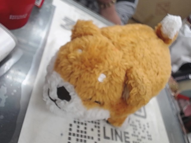 圖片載入錯誤