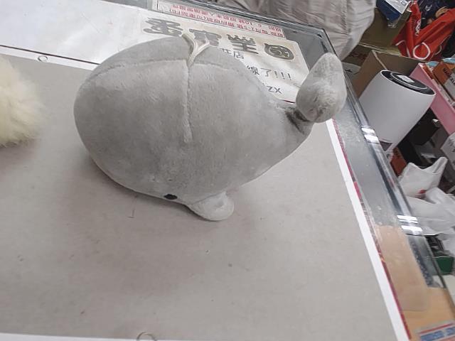 圖片載入錯誤