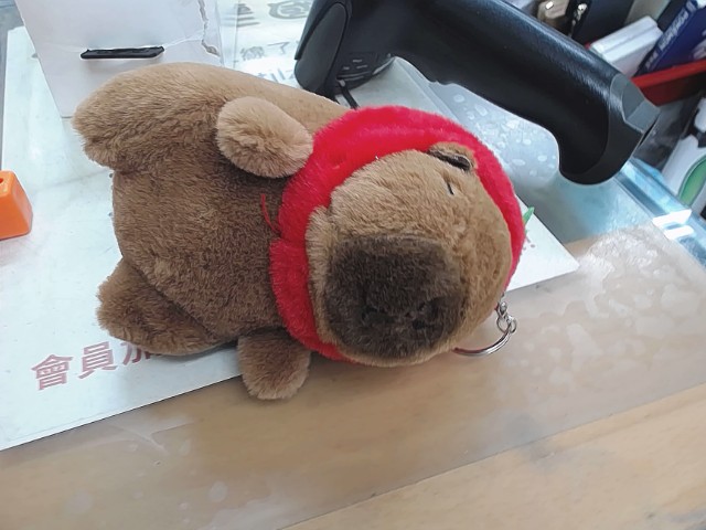 圖片載入錯誤