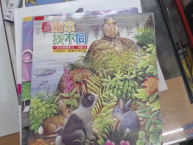 圖片載入錯誤