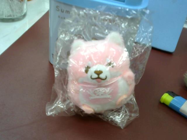圖片載入錯誤