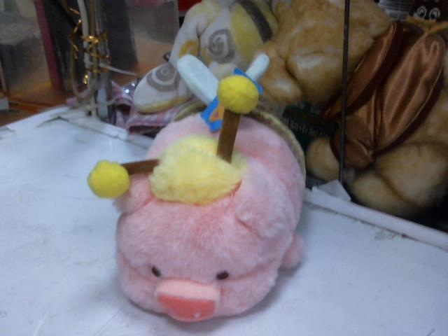 圖片載入錯誤