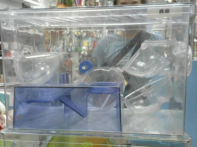 圖片載入錯誤