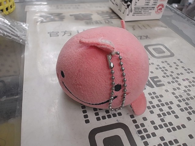 圖片載入錯誤