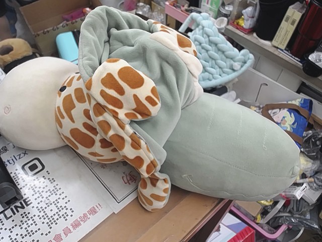 圖片載入錯誤